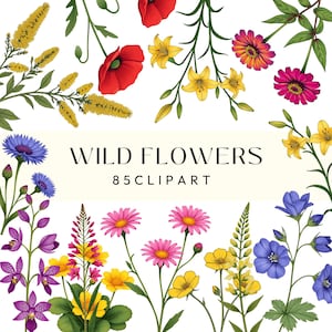 Botanical Wild Flowers Clipart bundle, Wedding Elements, 85 Transparent PNG 300 dpi (Digital Download)