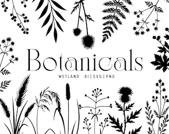 May include: A collection of black botanical silhouettes featuring various plants, grasses, and flowers arranged around the central text Botanicals WETLAND AI | SVG | PNG. The graphic elements include ferns, thistles, and reeds.