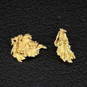 May include: Two raw, metallic gold nuggets with irregular, textured surfaces. The nugget on the left is rounded and clustered, while the nugget on the right is elongated and jagged. Both pieces exhibit a bright, reflective yellow-gold color.