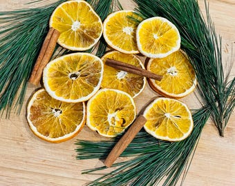 Citrus Simmer Pot / Oranges, Cinnamon Sticks, Pine / Natural Home Fragrance