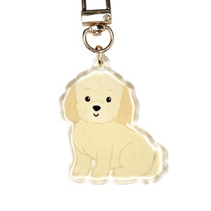 Könnte beinhalten: Ein klarer Acryl-Schlüsselanhänger mit einer Cartoon-Illustration eines hellbeige Hundes und einem goldfarbenen Metallverschluss. Der Hund hat schwarze Augen und eine kleine schwarze Nase mit einem lächelnden Ausdruck. Der Schlüsselanhänger ist zum Anbringen an Schlüsseln oder Taschen konzipiert.