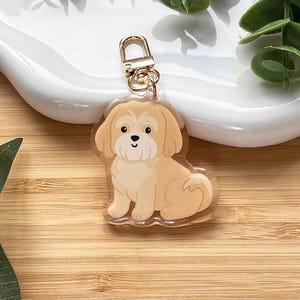 May include: A clear acrylic dog keychain with a gold-coloured clasp. The cartoon dog is light brown and sitting with its tail curled. It has a black nose and eyes. The keychain is on a wooden surface.