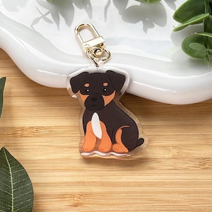 May include: A clear acrylic keyring featuring a cartoon Rottweiler dog with black, brown, and orange colouring. The dog is sitting with its legs forward. The keyring has a gold-coloured clasp.