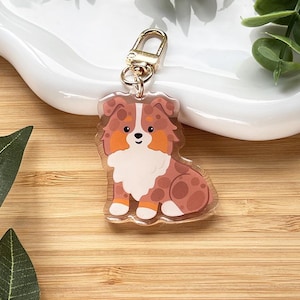 May include: A clear acrylic keychain featuring a cartoon-style Australian Shepherd dog. The dog has brown, orange, and white markings, with a gold-colored clasp. The keychain is on a wooden surface with green leaves and a white ceramic dish.