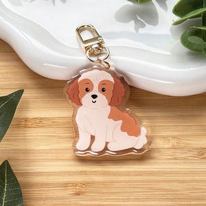 May include: A clear acrylic keychain featuring a cartoon Cavalier King Charles Spaniel dog with brown and white markings. The keychain has a gold-colored clasp and is sitting on a white, wavy dish.