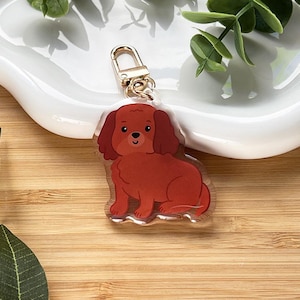 May include: A clear acrylic keychain featuring a cartoon illustration of a reddish-brown dog with floppy ears. The keychain has a gold-colored clasp and is set against a wooden surface with green leaves and a white ceramic dish.