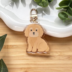 Peut inclure: Un porte-clés en acrylique transparent avec une illustration de dessin animé d'un chien brun clair avec un pelage duveteux. Le chien est assis. Le porte-clés a un fermoir doré.