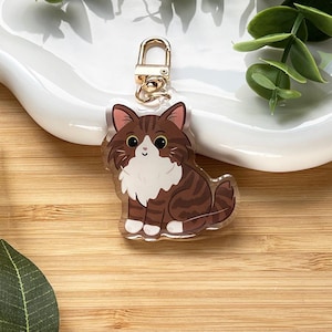 Könnte beinhalten: Ein klarer Katzen-Schlüsselanhänger aus Acryl mit einem goldfarbenen Verschluss. Die Katze ist braun und weiß mit flauschiger Brust und Schwanz. Der Schlüsselanhänger liegt auf einer Holzoberfläche mit grünen Blättern und einer weißen Dekoschale im Hintergrund.