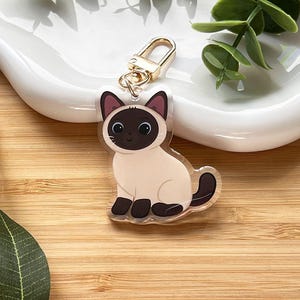 Può includere: Un portachiavi in acrilico trasparente con un gatto siamese dei cartoni animati con una chiusura color oro. Il gatto ha un corpo beige, zampe, orecchie e muso marrone scuro e una coda nera. Il portachiavi è su un piatto bianco curvo.