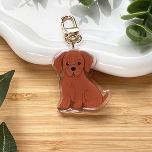 May include: A brown puppy keychain with a gold-colored clasp. The puppy is sitting, with its ears perked up. The keychain is on a white, curved dish, with green leaves in the background. The background is a wooden surface.