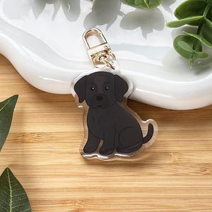May include: A clear acrylic keychain with a black Labrador Retriever dog illustration. The keychain has a gold-coloured clasp. The dog is sitting with its tail curled. The keychain is on a wooden surface.