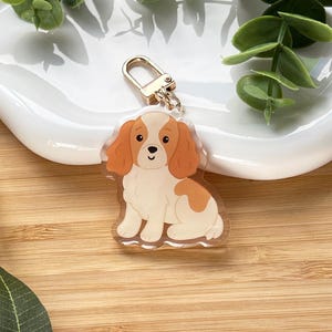May include: A clear acrylic keychain featuring a Cavalier King Charles Spaniel dog illustration. The dog has brown and white markings and a gold-colored clasp. The keychain is on a white ceramic dish with green foliage.