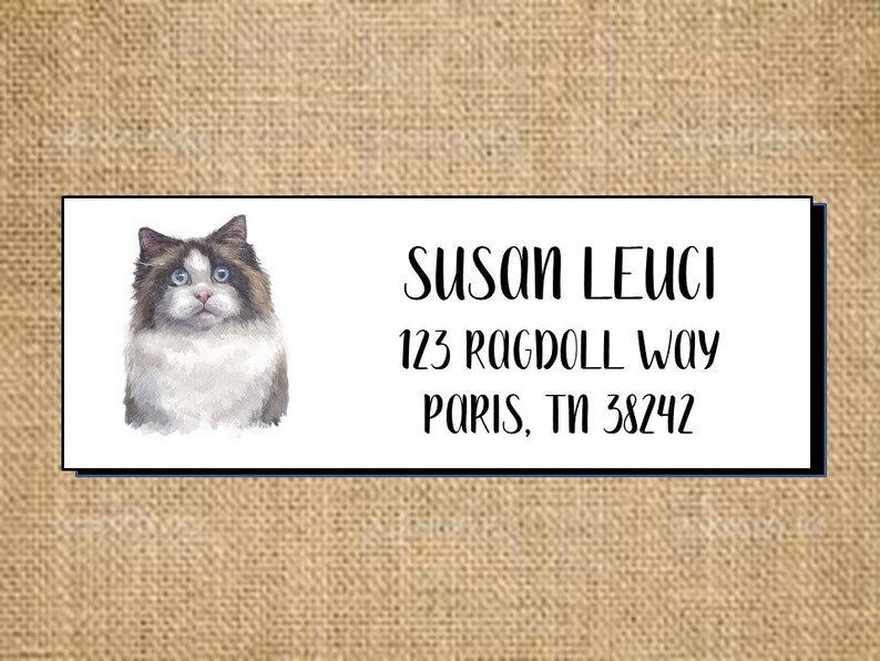 Ragdoll Cat Address Labels | Ragdoll Kitten Address Labels ...