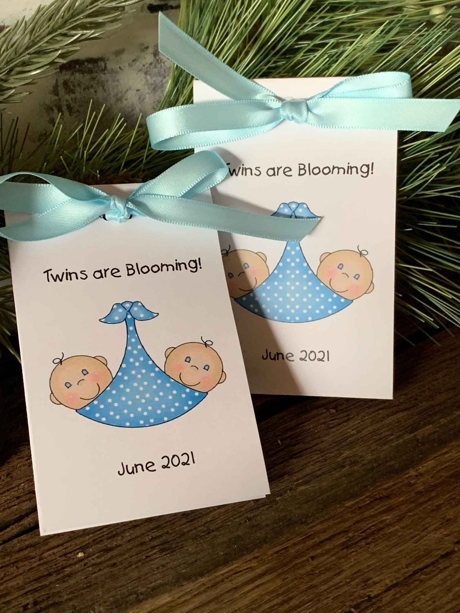 Baby Shower Favors Twins or Two Babies Baby Shower Seed Etsy