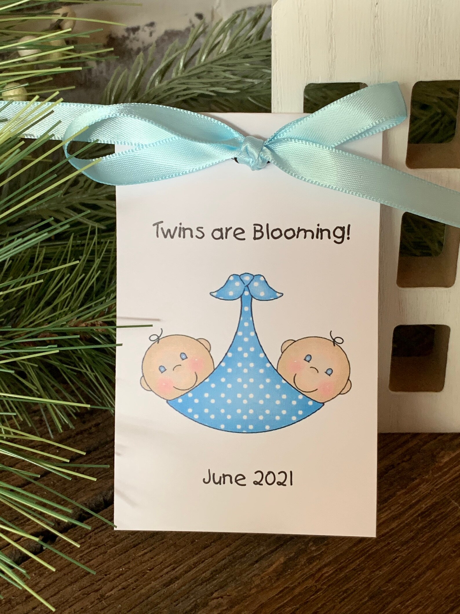 Baby Shower Favors Twins or Two Babies Baby Shower Seed Etsy
