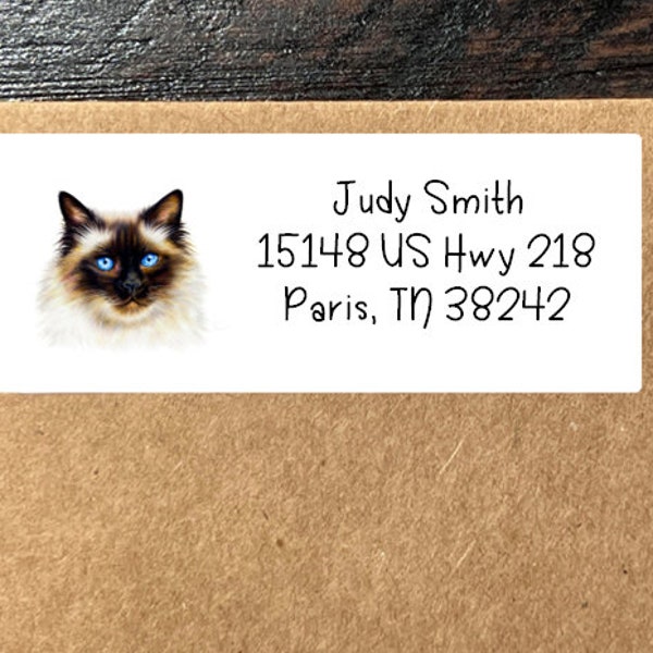 Ragdoll Cat Breed Ragdoll Kitten Custom Address Labels