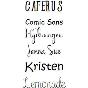 Pu&ograve; includere: Un elenco di nomi scritti in diversi font, tra cui "Caferus", "Comic Sans", "Hydrangea", "Jenna Sue", "Kristen" e "Lemonade".