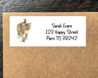 Kitten Return Address Labels ,  Cat Personalized Address Labels