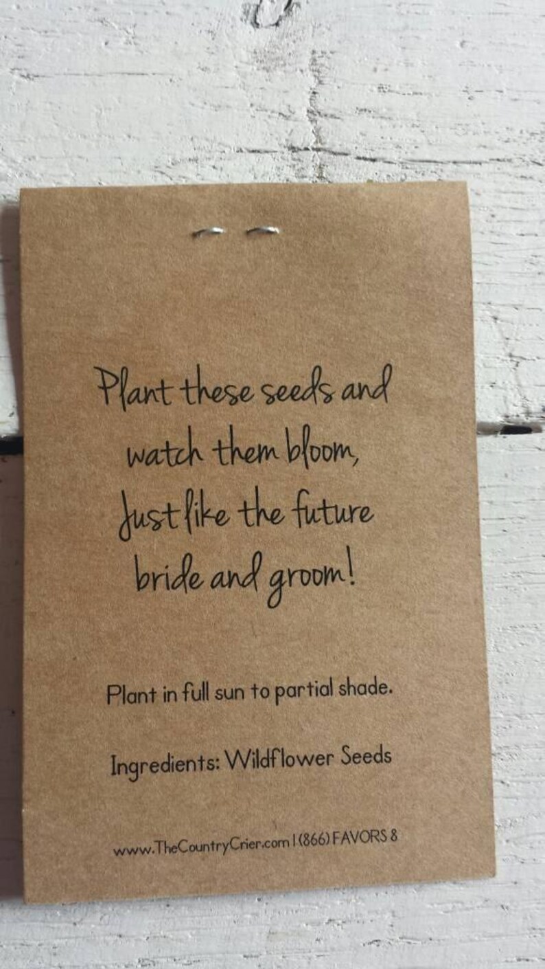 RUSTIC Blue Hydrangea Mason Jar Design , Seeds Let Love Grow Flower Seed Packet Favor Shabby Chic Cute Favors for Bridal Shower Wedding immagine 3