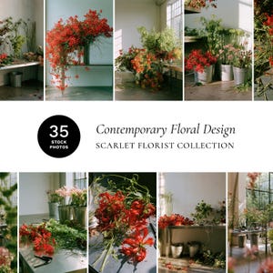 Può includere: Una collezione di 35 foto d'archivio intitolata Contemporary Floral Design Scarlet Florist Collection che mostra vari arrangiamenti di fiori rosso scarlatto, fogliame verde e steli in secchi di metallo e su tavoli in uno studio.