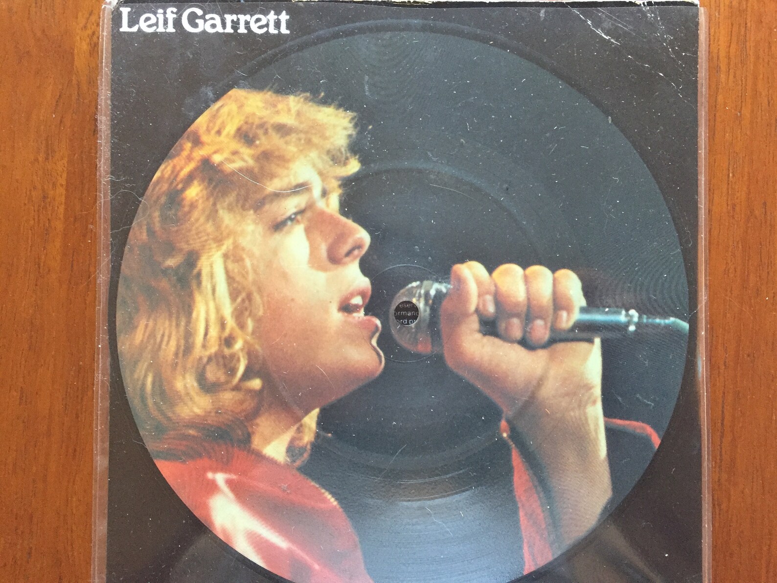 Leif Garrett New York City Nights