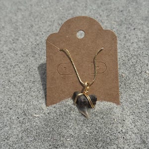 Fossil Shark Tooth Pendant Necklace: Gold-Plated Sterling Silver Chain