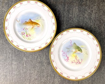 Fish cabinet plates - a pair - D&C France, L. Bernardaud Co. - antique 1900s plates