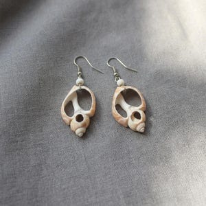 May include: A pair of seashell earrings with silver-colored hooks and small white beads. The earrings are made from natural seashells, showcasing a cream and light brown color palette. The shells have a unique, open design.
