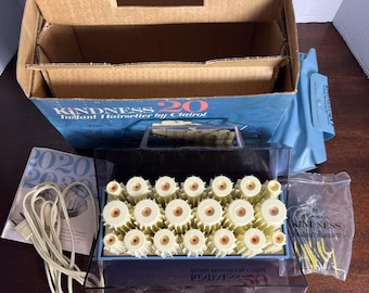 Vtg Clairol Kindness 20 Instant Hair Setter Hot Rollers Curlers With Clips w/box