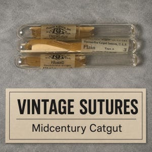 May include: Three clear glass tubes containing coiled tan catgut sutures, each with a paper label reading Davis & Geck, Inc. N.Y. U.S.A. Thermo-flex and Kalmerid. Below, a rectangular sign with black text reads VINTAGE SUTURES Midcentury Catgut.