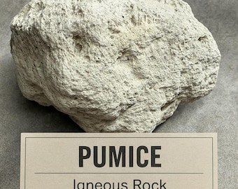 Floating Volcanic Rock — Natural Pumice Specimen