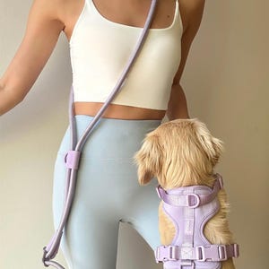 May include: A light purple dog harness and matching leash set. The harness is on a small, tan dog. The leash is draped over the shoulder of a person wearing a white tank top and light blue leggings. The harness and leash have silver-colored metal hardware.