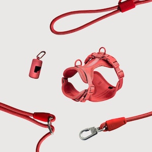 May include: A red dog harness, lead, and waste bag dispenser set. The harness has adjustable straps and a secure fit. The lead features a comfortable handle and a metal clasp. The waste bag dispenser is compact and easy to attach.