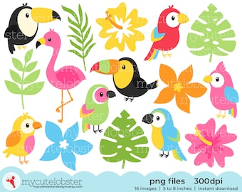 Tropical Birds Clipart - cute birds, parrots, toucans, tropical clipart set, monstera - Instant Download, Personal Use, Commercial Use, PNG