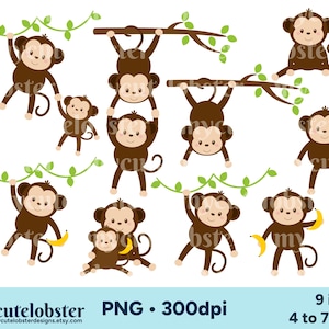 Affen Clipart, süße Affen Clipart, Affe PNG, Safari Clipart, Dschungel Clipart, süße Tiere Clipart, persönlichen Gebrauch, kommerzielle Nutzung