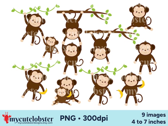 Monkeys Clipart - set of animal graphics, jungle monkeys, PNG Digital Download