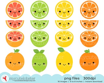 Cute Citrus Fruit Clipart - set of happy fruit, grapefruit, lime, lemon, orange - Instant Download, Personal Use, Commercial Use, PNG