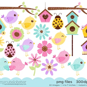 Frühling Vögel Clipart Set - Clip Art Set von Vögeln, Zweigen, Vogelhäuschen, Blumen - zum sofortigen Download, kommerzielle Nutzung, private Nutzung, PNG