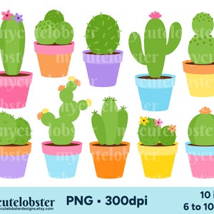 Imágenes prediseñadas de cactus, imágenes prediseñadas de plantas, imágenes prediseñadas de plantas de cactus, cactus PNG, imágenes prediseñadas de cactus, plantas PNG, plantas de interior, uso personal, uso comercial