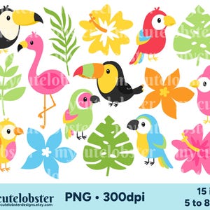 Tropische vogels clipart - schattige vogels, papegaaien, toekans, tropische clipart set, monstera - Instant Download, persoonlijk gebruik, commercieel gebruik, PNG
