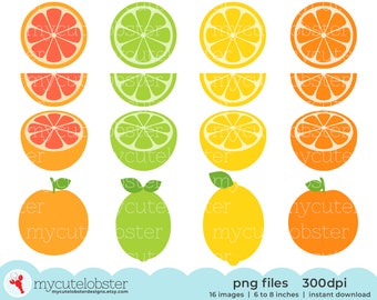 Citrus Fruit Clipart - set of fruit, lemon, grapefruit, lime, orange, citrus, segment - Instant Download, Personal Use, Commercial Use, PNG
