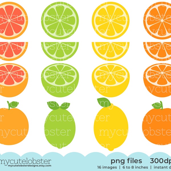 Citrus Fruit Clipart - set of fruit, lemon, grapefruit, lime, orange, citrus, segment - Instant Download, Personal Use, Commercial Use, PNG