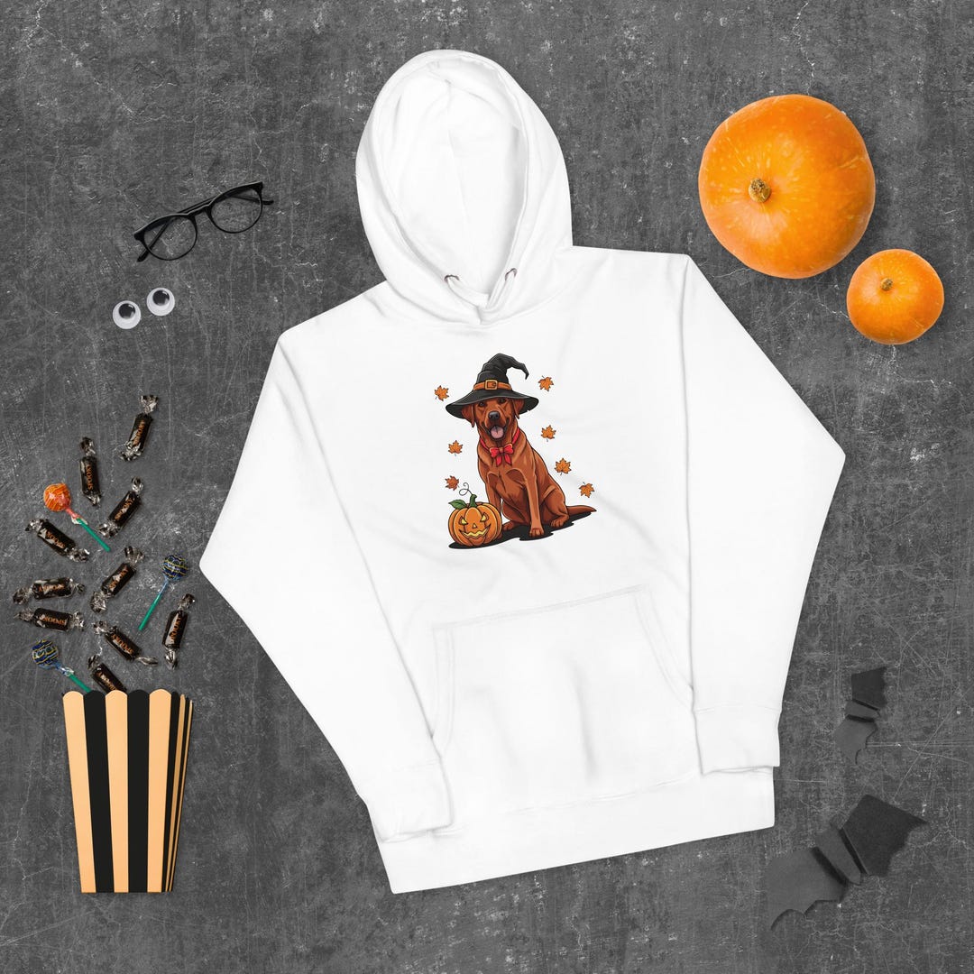 Fox Red Labrador Halloween Hoodie | Funny Pumpkin Witch Hat Dog Sweater ...