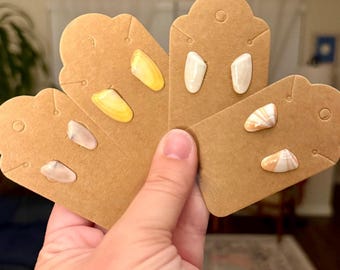 Pendientes de concha de mariposa Coquina