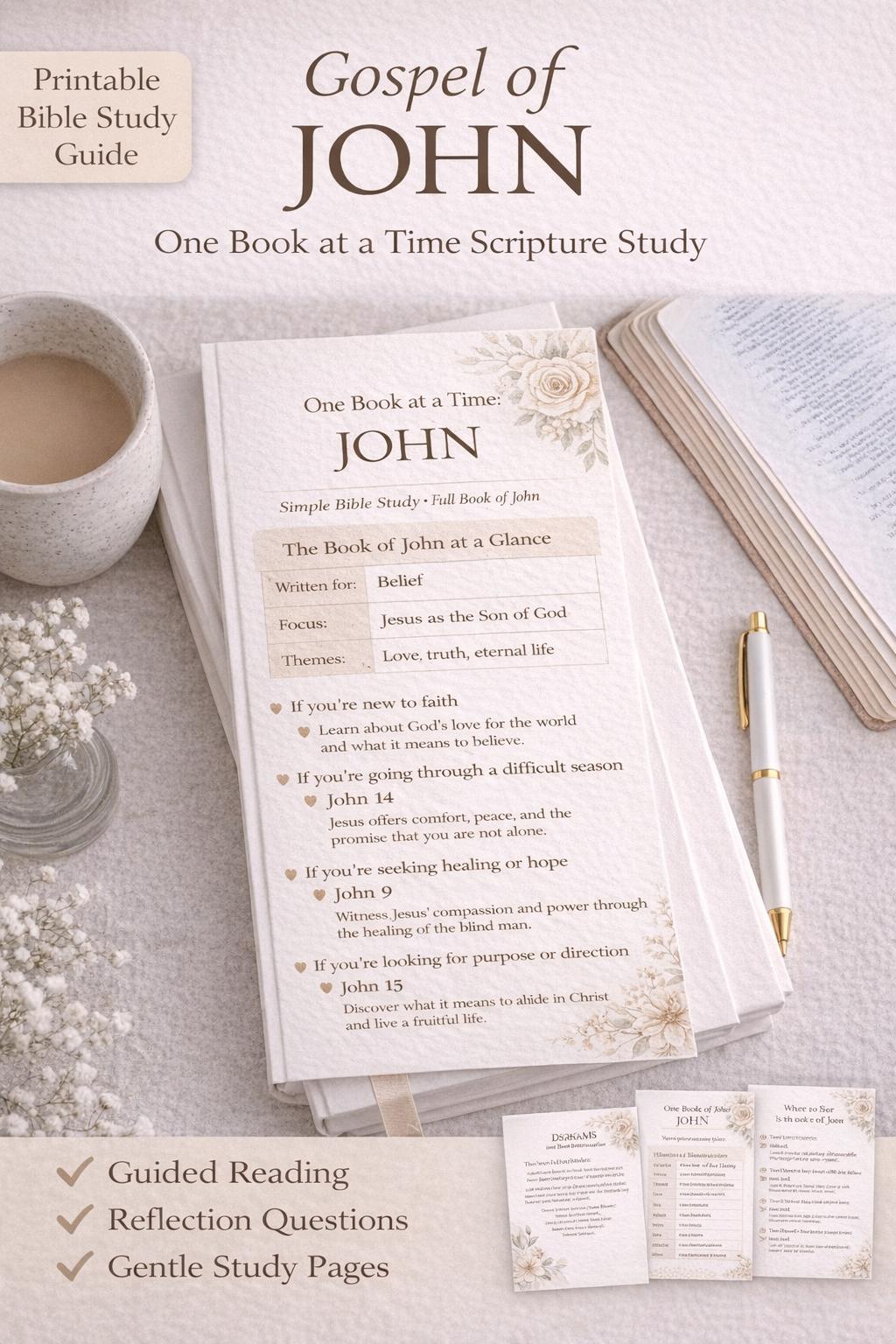Gospel of John Bible Study PDF | One Book at a Time Scripture Study ...