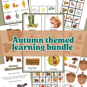 Autumn learning unit, autumn educational prints, autumn, phonics, learning resources