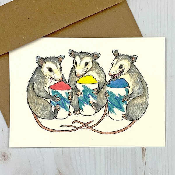 Opossum Water Ice Notecard - virginia opossum greeting card