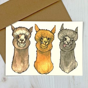 Alpaca Faces Notecard - greeting card