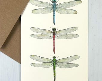 Dragonfly Trio -  5x7 Notecard