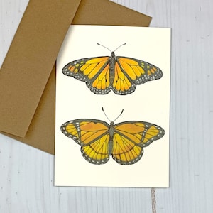 Monarch vs Viceroy Butterfly 5x7 greeting card